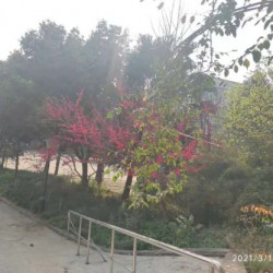 http://www.ylfww.com.cn/uploads/20220604/4400c2aa81715210316a820b2db28f90.jpg