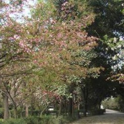 http://www.ylfww.com.cn/uploads/20220704/4aa2a809c9a88535ba814f33fa7f77a8.jpg