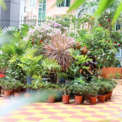 http://www.ylfww.com.cn/uploads/20220830/133ab4bd93411b200097ce4cd980b459.jpg