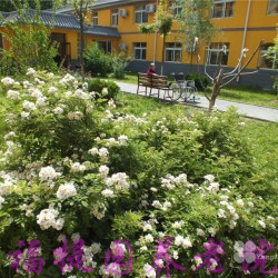 http://www.ylfww.com.cn/uploads/20220910/0d491b341dba3dd504fdd4d95004f278.jpg