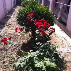 http://www.ylfww.com.cn/uploads/20220910/fb3fa7faaf76eb895731abc06bb6cc5f.jpg