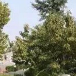 http://www.ylfww.com.cn/uploads/20220913/85c441f648ea3cc2b6801107b211ec33.jpg