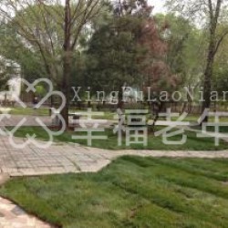 http://www.ylfww.com.cn/uploads/20220923/c8cd23b0ef683eda08c98f2fb393665e.jpg