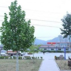 http://www.ylfww.com.cn/uploads/20221003/979716dd67f6862597a8b2abf428304c.jpg