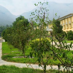 http://www.ylfww.com.cn/uploads/20221004/a3b00ee828422fa025f043973bbe7dca.jpg