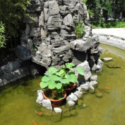 http://www.ylfww.com.cn/uploads/20221007/1d7bb399aa184db9c149d0ba15c34c5f.jpg