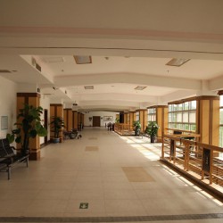 http://www.ylfww.com.cn/uploads/20221008/889a6fa23f15e0531251521da4c30b9a.jpg