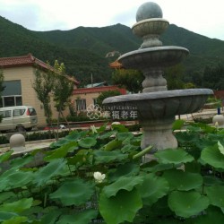 http://www.ylfww.com.cn/uploads/20221013/b7f62fa8907426d27e563c69ba6d134a.jpg
