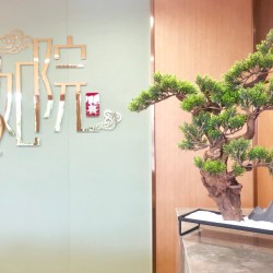 http://www.ylfww.com.cn/uploads/20221020/98973f687eac652cfcd42ecb9a10ba31.jpg