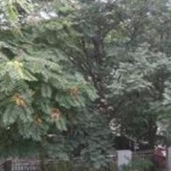 http://www.ylfww.com.cn/uploads/20221020/aec64b2252d9444f9d5514bd96ebe2f4.jpg