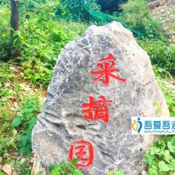 http://www.ylfww.com.cn/uploads/20221118/00c698b65b1c127d77baef3ac7bfcd6e.jpg