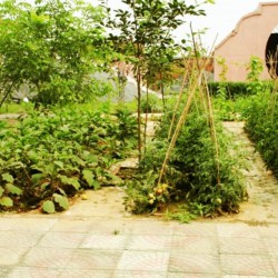 http://www.ylfww.com.cn/uploads/20221202/d539ec838a69a4baee1778e8ffd17168.jpg