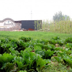 http://www.ylfww.com.cn/uploads/20221204/3e3ffd6890e00e0d9df134576c2c0bfe.jpg