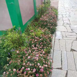 http://www.ylfww.com.cn/uploads/20230207/6efd0b3c0c67a992ecf1d8d130a327cf.jpg