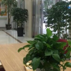 http://www.ylfww.com.cn/uploads/20230220/293adf441c9505d39943eb9d739410f1.jpg