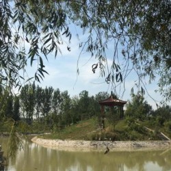 http://www.ylfww.com.cn/uploads/20230228/2a8fd63bf990f11e6d146a1c246bc03c.jpg