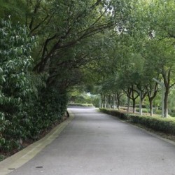 http://www.ylfww.com.cn/uploads/20230304/b6ddcefbd9c54fd1fdc092dcda42ed34.jpg