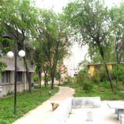 http://www.ylfww.com.cn/uploads/20230306/12878a5dd16d16067f05a653683a5b6e.jpg