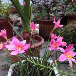 http://www.ylfww.com.cn/uploads/20230308/64bb61df639a90112e544d933260573f.jpg