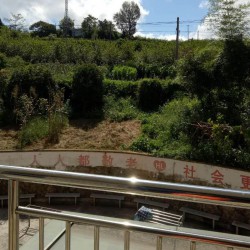 http://www.ylfww.com.cn/uploads/20230320/274903ffeb0597d7d4b8000c543e8dfa.jpg