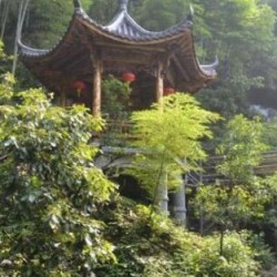 http://www.ylfww.com.cn/uploads/20230321/ceed08f24c1d14bcaa3bb355b6c44b1b.jpg