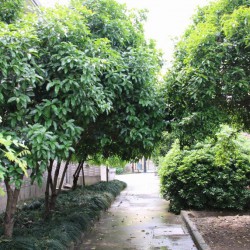 http://www.ylfww.com.cn/uploads/20230325/c2f303c847f18a0aec86d65794c85272.jpg
