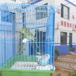 http://www.ylfww.com.cn/uploads/20230526/4d5d4a3013ada356c6e4c6b2ba0c01fe.jpg