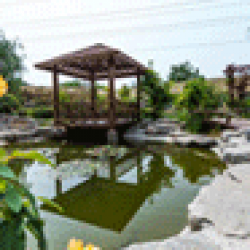 http://www.ylfww.com.cn/uploads/20230528/fc0f36733c6bd5b2451d3cd2d5aa7cf8.jpg