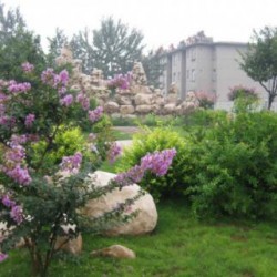 http://www.ylfww.com.cn/uploads/20230529/7ce9e734e0339922a51b8bb85a06cf56.jpg