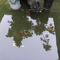 http://www.ylfww.com.cn/uploads/20230718/e6bc300f631b53a78ad6b2f30c713146.jpg