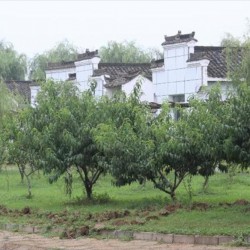 http://www.ylfww.com.cn/uploads/20230812/4146e41803b8b9e5508697dae35549f6.jpg