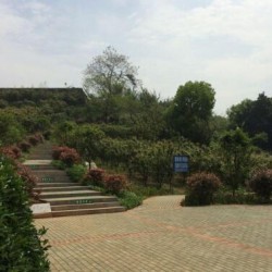 http://www.ylfww.com.cn/uploads/20230817/60da7c9d4037d81f141c9369ec462d4a.jpg