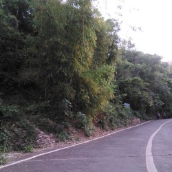 http://www.ylfww.com.cn/uploads/20240123/1174f1322239d557b150c1794e05ff42.jpg