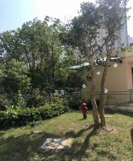 2025上海闵行区浦江社区浦涛长者照护之家网站首页/地址/电话/价格-上海精选养老院