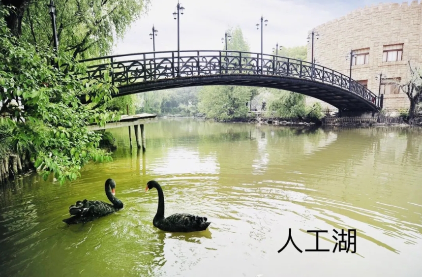 2025上海祥福颐养院网站首页/地址/电话/价格-上海精选养老院/敬老院