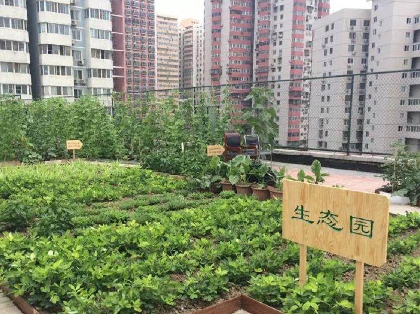 2025北京市朝阳区太阳宫老年公寓网站首页/地址/电话/价格-北京精选老年公寓