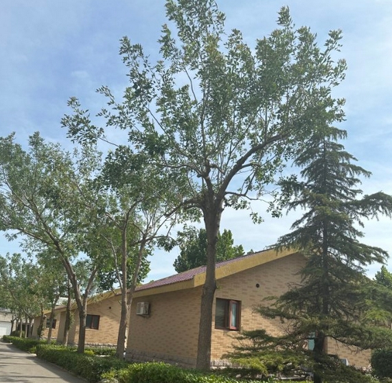 2025北京市朝阳区圣泽峰老年公寓网站首页/地址/电话/价格-北京精选老年公寓