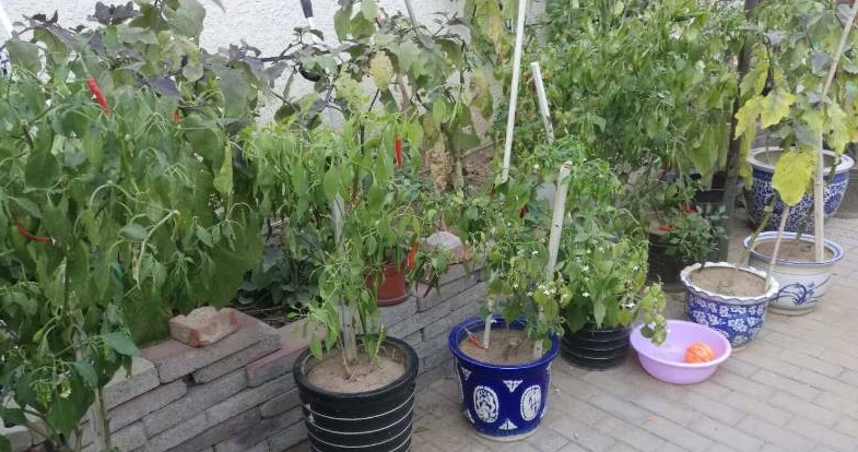 2025北京市东城区建国门街道来德老年公寓网站首页/地址/电话/价格-北京精选养老公寓