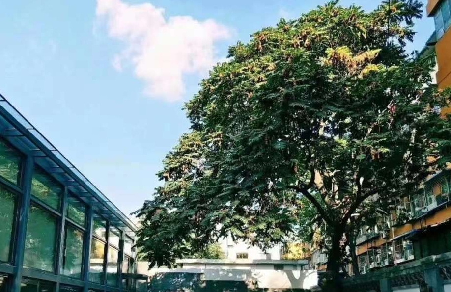 2025北京市西城区白纸坊街道颐寿轩养老照料中心网站首页/地址/电话/价格-北京精选养老院