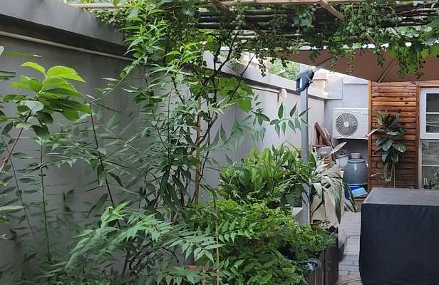 2025北京市西城区西长安街西绒线银龄养老照料中心网站首页/地址/电话/价格-北京精选养老院