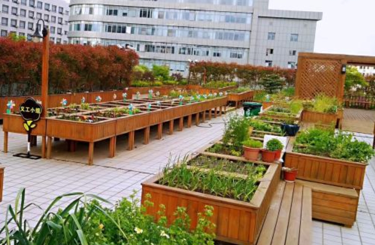 上海周康迎丰老年公寓地址-2025院内环境及免费预约参观