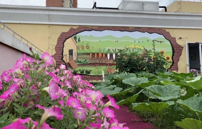 上海养老社区：上海闵行区浦江社区浦涛长者照护之家概况2025-具体地址、详细