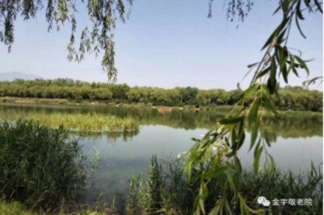 2025北京市海淀区金宇敬老院网站首页/地址/电话/价格-北京精选敬老院