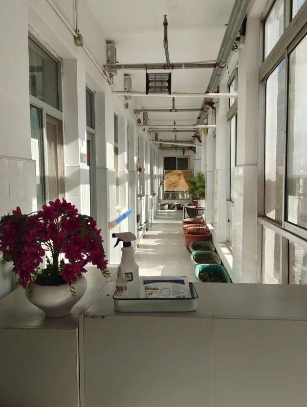 2025北京市海淀区杏林敬老院网站首页/地址/电话/价格-北京精选敬老院