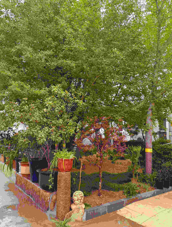 2025北京市海淀区杏林敬老院网站首页/地址/电话/价格-北京精选敬老院