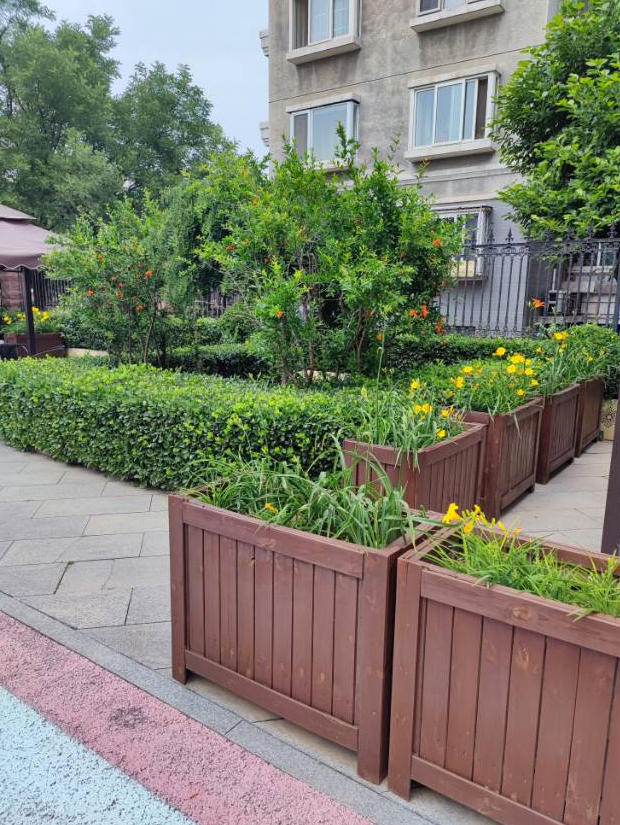 北京椿萱茂青塔养老院：都市里的品质养老典范​