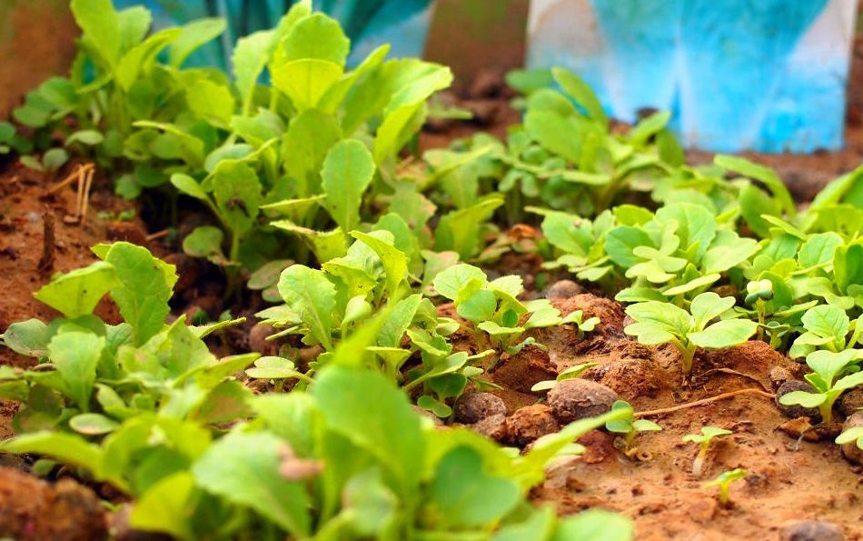 北京市丰台区康助护养院：老街里的康养暖居​