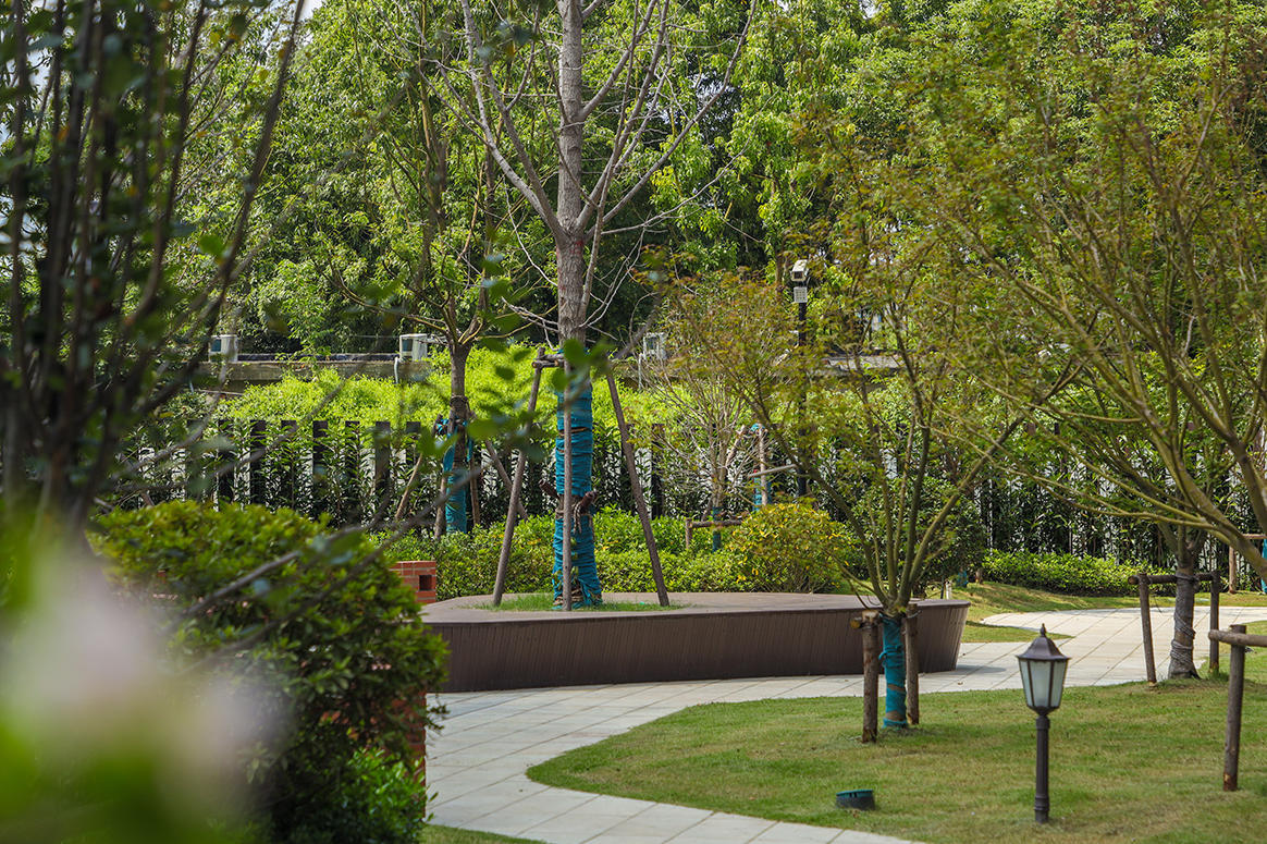 2025上海养老收费新规：上海太保家园普陀国际康养社区地址和入住攻略指南