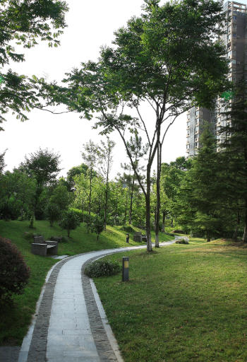 人气榜单揭晓！探秘上海香树湾护理院地址和收费介绍